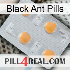 Black Ant Pills 24